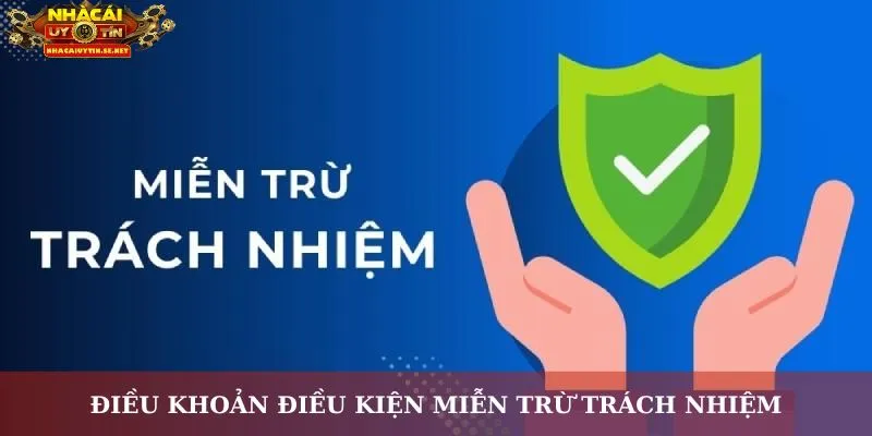 Điều khoản điều kiện miễn trừ trách nhiệm người dùng