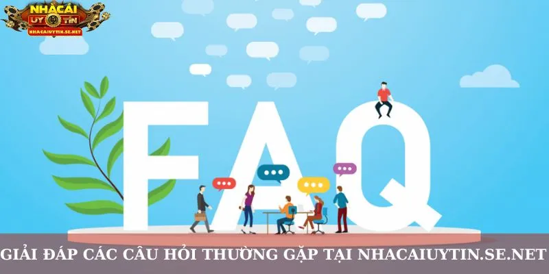 Câu hỏi thường gặp