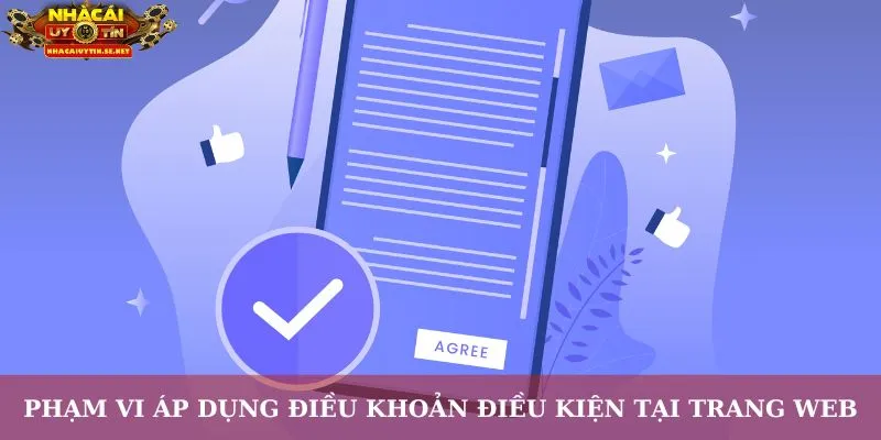 Phạm vi áp dụng điều khoản điều kiện tại trang web