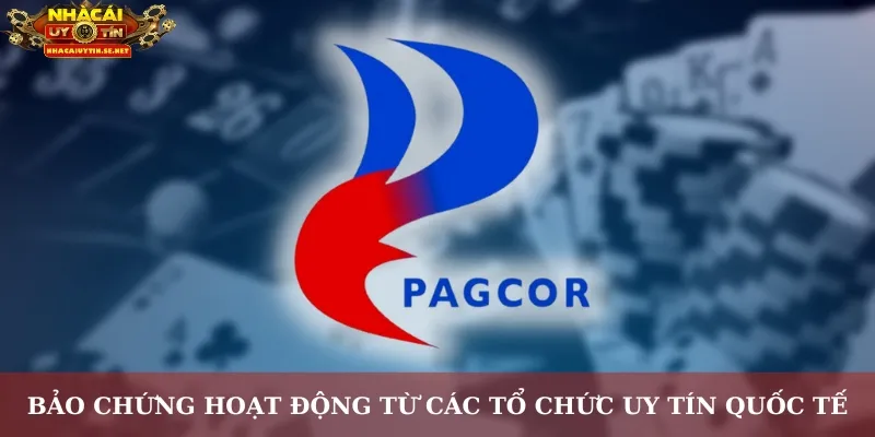 Bảo chứng hoạt động từ các tổ chức uy tín quốc tế