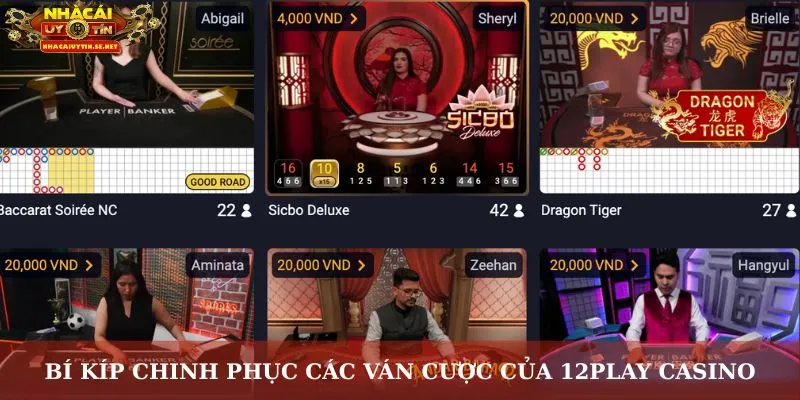 Bí kíp chinh phục các ván cược của 12Play Casino
