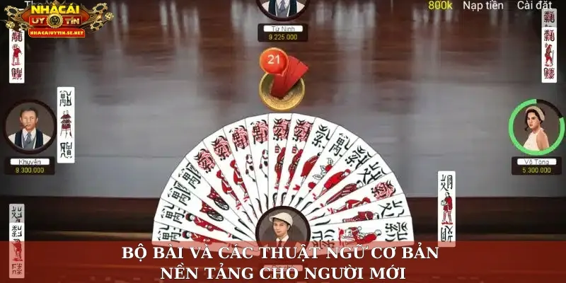 Bộ bài và các thuật ngữ cơ bản – Nền tảng cho người mới