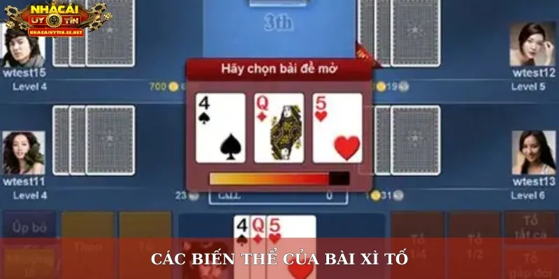 Kiến Thức Bài Xì Tố – Nâng Cao Kỹ Năng Và Cơ Hội Thắng Cược 3 Các biến thể của bài xì tố