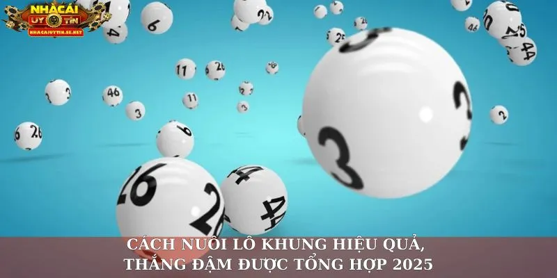 Cách nuôi lô khung