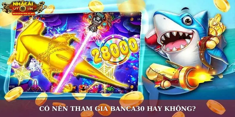 Có nên tham gia Banca30 hay không?