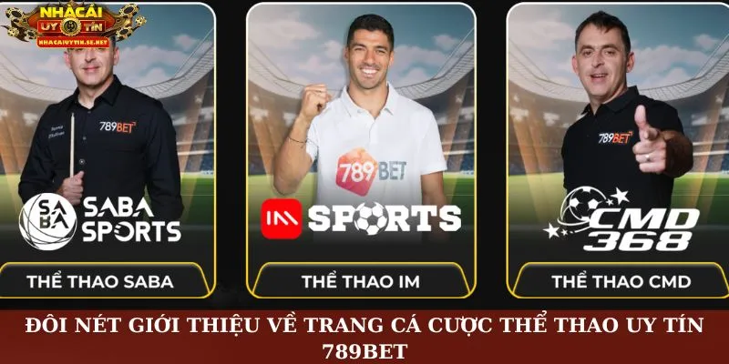 Đôi nét giới thiệu về trang cá cược thể thao uy tín 789Bet