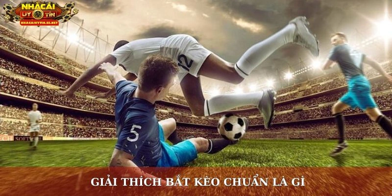 Giải thích bắt kèo chuẩn là gì