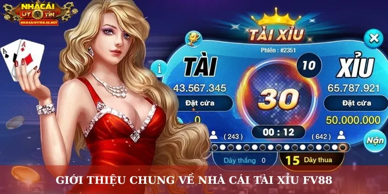 Giới thiệu chung về nhà cái tài xỉu FV88