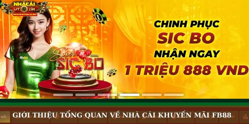Giới thiệu tổng quan về nhà cái khuyến mãi FB88