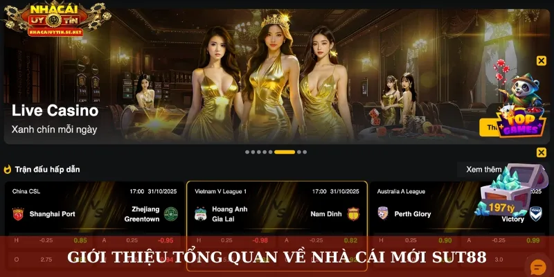 Sut88 Nhà Cái Mới – Thương Hiệu Với Trải Nghiệm Khác Biệt 2 Giới thiệu tổng quan về nhà cái mới Sut88
