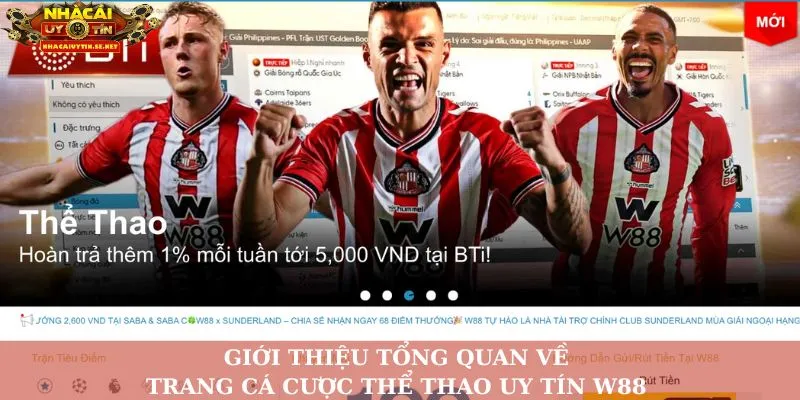 Giới thiệu tổng quan về trang cá cược thể thao uy tín W88 