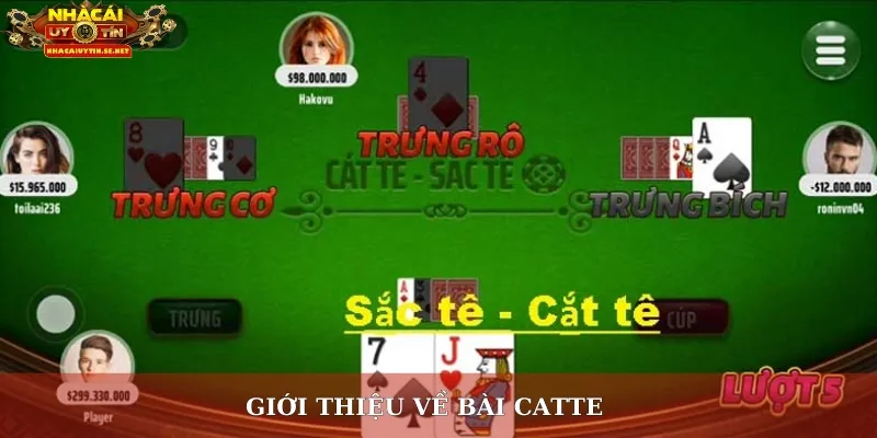 Giới thiệu về bài catte