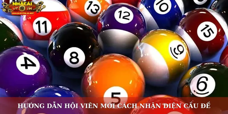 Hướng dẫn hội viên mới cách nhận diện cầu đề