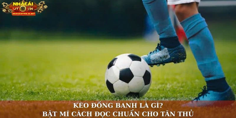 Kèo Đồng Banh Là Gì? Bật Mí Cách Đọc Chuẩn Cho Tân Thủ 1 Kèo đồng banh