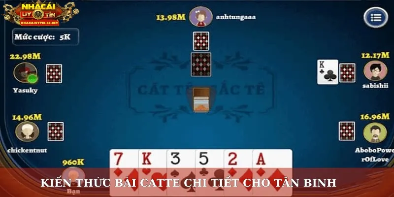 Kiến thức bài catte chi tiết cho tân binh
