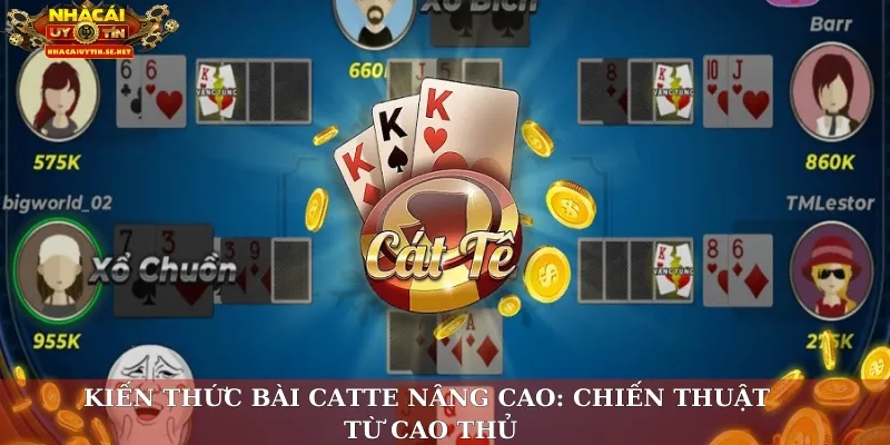 Kiến thức bài catte nâng cao: Chiến thuật từ cao thủ