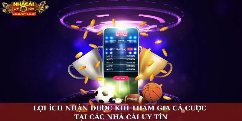 Lợi ích nhận được khi tham gia cá cược tại các nhà cái uy tín