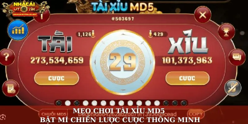 Mẹo chơi tài xỉu MD5