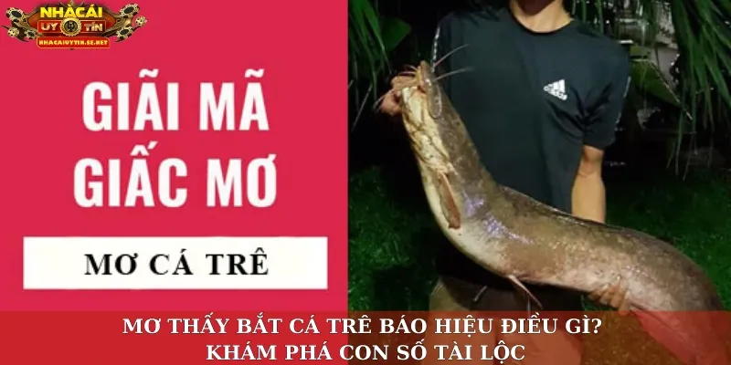 Mơ thấy bắt cá trê