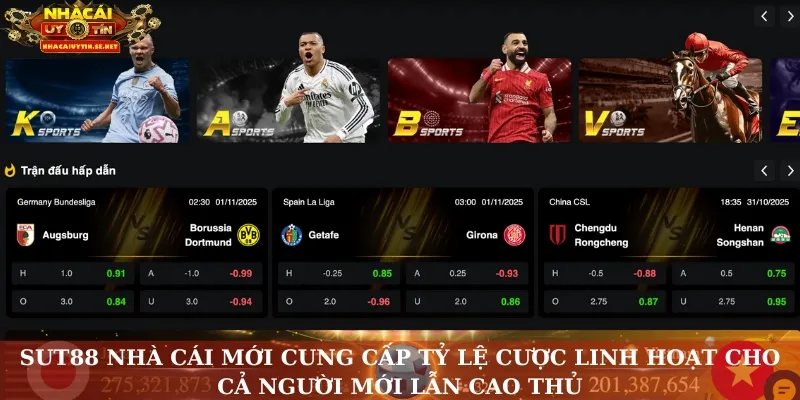 Sut88 Nhà Cái Mới – Thương Hiệu Với Trải Nghiệm Khác Biệt 3 Sut88 nhà cái mới cung cấp tỷ lệ cược linh hoạt cho cả người mới lẫn cao thủ