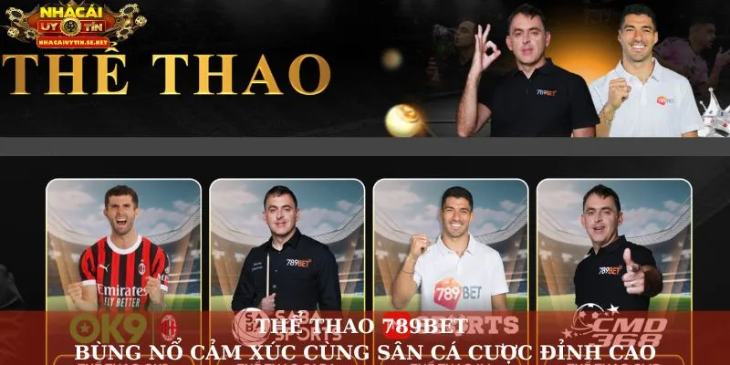 thể thao 789Bet
