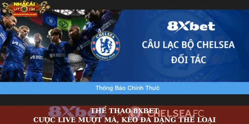 Thể thao 8Xbet