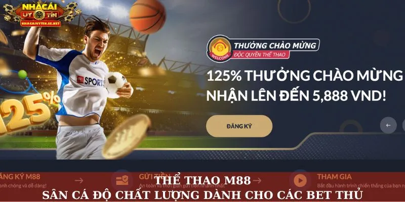 Thể thao M88