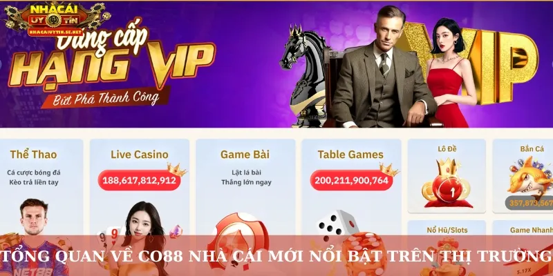 Tổng quan về Co88 nhà cái mới nổi bật trên thị trường